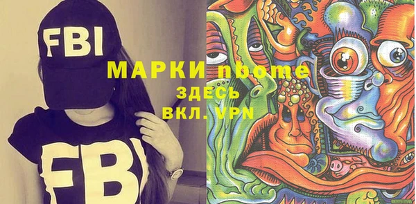индика Верхний Тагил