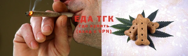 индика Верхний Тагил