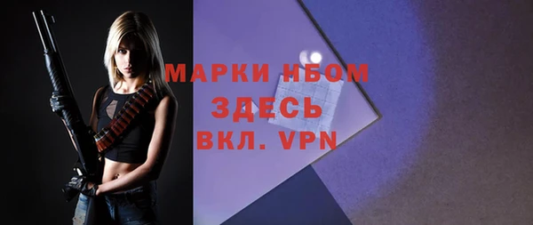 индика Верхний Тагил