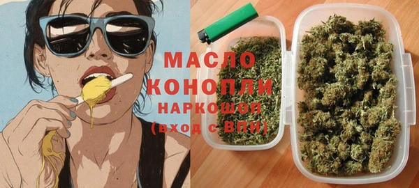 индика Верхний Тагил