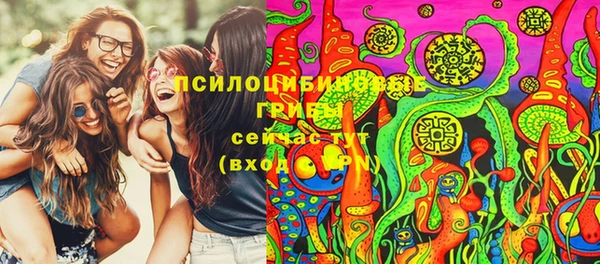 индика Верхний Тагил
