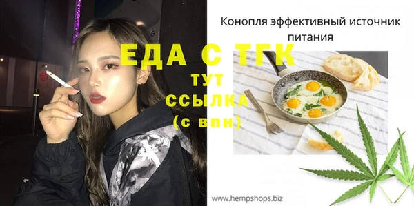 индика Верхний Тагил