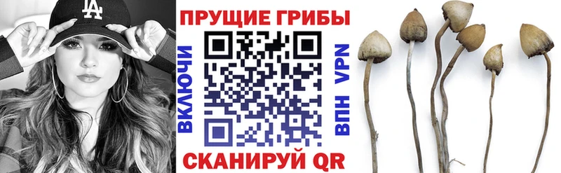 Псилоцибиновые грибы Magic Shrooms  дарк нет телеграм  Юхнов  мега зеркало 